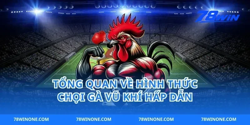 Tổng quan về hình thức chọi gà vũ khí hấp dẫn