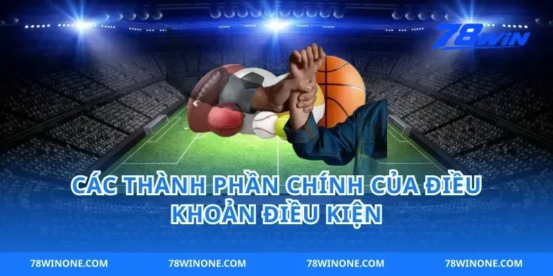 Các thành phần chính của điều khoản điều kiện