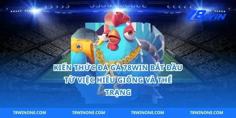 Kiến thức đá gà 78win bắt đầu từ việc hiểu giống và thể trạng