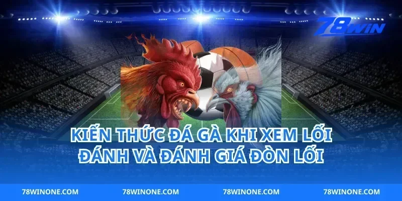 Kiến thức đá gà khi xem lối đánh và đánh giá đòn lối