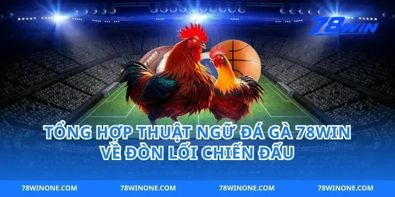 Tổng hợp thuật ngữ đá gà 78win về đòn lối chiến đấu