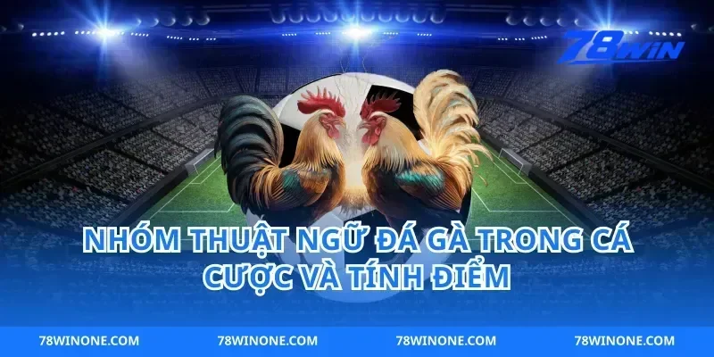 Nhóm thuật ngữ đá gà trong cá cược và tính điểm