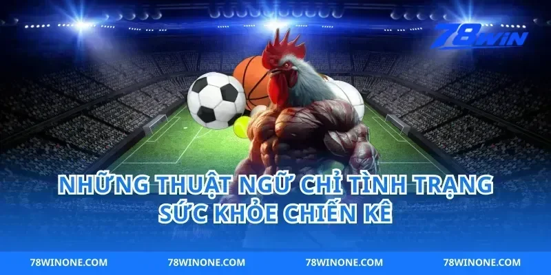 Những thuật ngữ chỉ tình trạng sức khỏe chiến kê